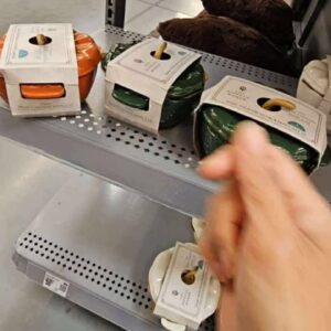 (INTERNAL USE ONLY) LD NOV 18 THE PIONEER WOMAN MINI PUMPKIN COCOTTE WITH LID GREEN