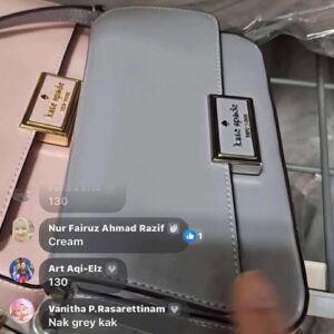 (INTERNAL USE ONLY) LD DEC 13 KS REAGAN FLAP XBODY GREY